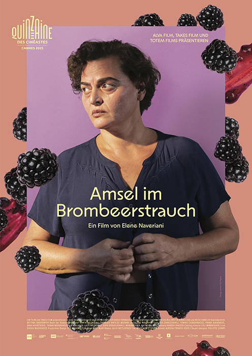 Kommunales Kino: Amsel im Brombeerstrauch