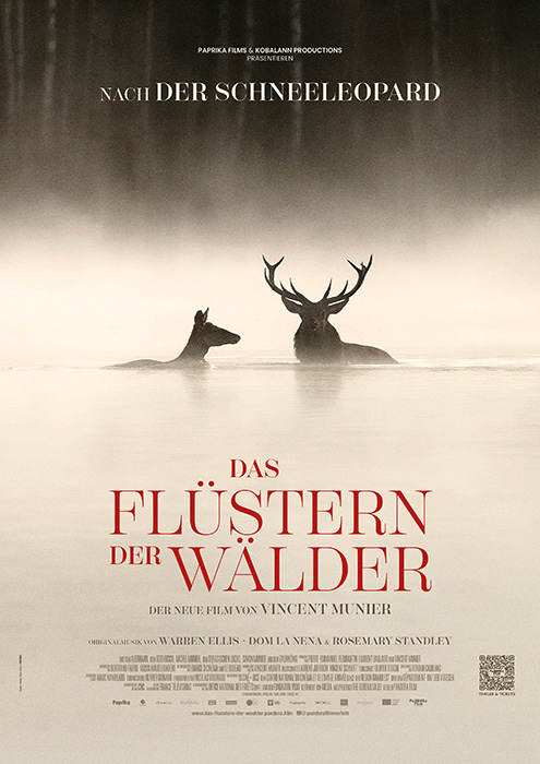 Kommunales Kino: Das Flüstern der Wälder
