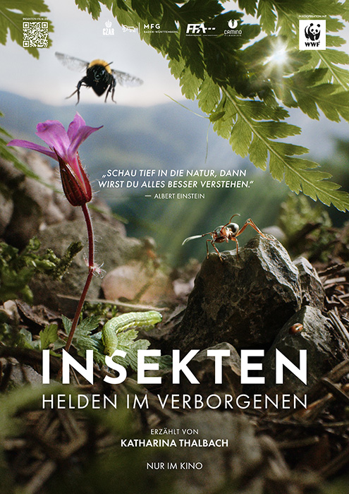 Kommunales Kino: Insekten - Helden im Verborgenen