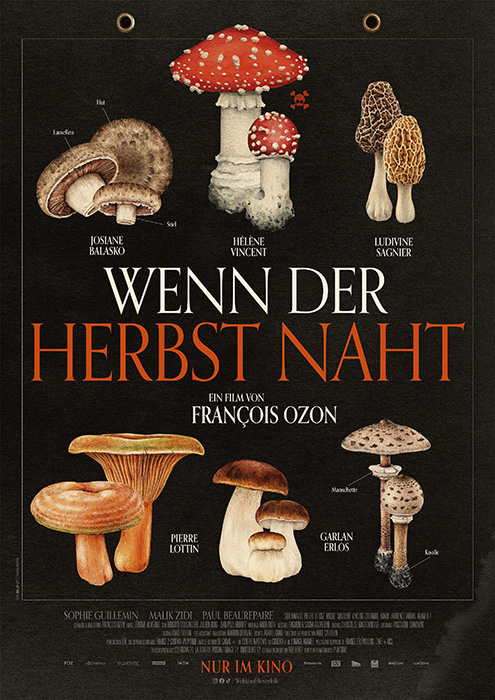 Kommunales Kino: Wenn der Herbst naht